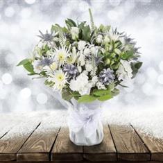 Dashing through the snow