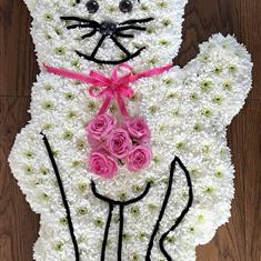 Cat funeral tribute 2D