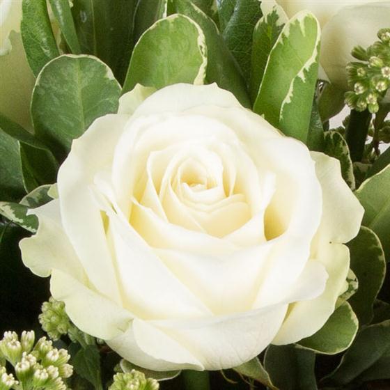 Six Long Stemmed White Roses Secret Garden Florist Nottingham